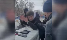 ІІМ: Жыл басынан бері Қазақстаннан тыс жерде 80 қылмыскер анықталды