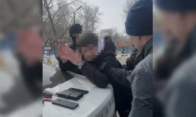 С начала года за рубежом разыскали 80 преступников из Казахстана (ВИДЕО)