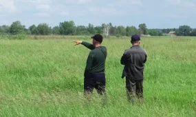 Солтүстік Қазақстан облысында жайылымдық жер тапшы