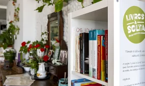 Бесплатные книги раздают в кафе, школах и прачечных Португалии