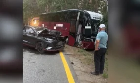 Автобус пен жеңіл көлік соқтығысты: 11 адам зардап шекті