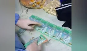 Қызылордада абақтыға ақша алып кірмек болғандар ұсталды