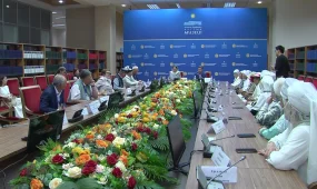 "Күміс тостаған Алтын адамның құжаты секілді",- ғалым