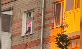 Пока родители пьянствовали: в Петропавловске полицейский спас двух детей, едва не выпавших из окна жилой пятиэтажки