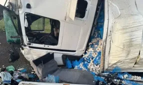 17 тонна саңырауқұлақ тиелген жүк көлігі аударылып қалды