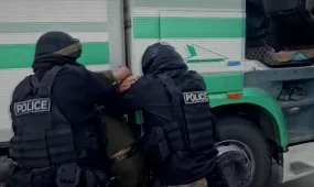 258 лиц и 58 преступных групп: в МВД отчитались о борьбе со скотокрадством