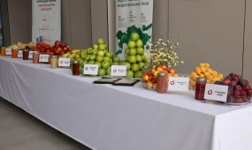 Алматы облысында жеміс-жидек пен көкөністі өңдейтін зауыт ашылды