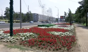 Прокуроры Павлодара предотвратили растрату бюджетных средств