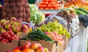 Астанада ауыл шаруашылығы жәрмеңкесі өтеді