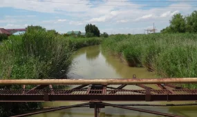 Атырауда 5жасар қыз бала каналға кетіп, көз жұмды