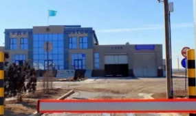 Қазақстан-Өзбекстан шекарасындағы екі өткізу пункті енді тәулік бойы жұмыс істейді