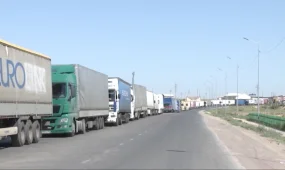Қазақстан мен Өзбекстан шекарасындағы екі кеден бекеті тәулік бойы жұмыс істейді
