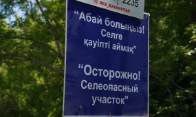 Алматыда сел қаупіне байланысты тұрғындар қауіпсіз жерге көшірілуде