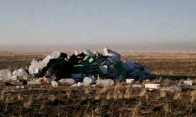 В Туркестанской области ликвидировали несанкционированную свалку