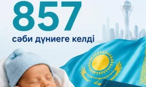 Конституция күшіне енген күні 857 кішкентай қазақстандық дүниеге келді