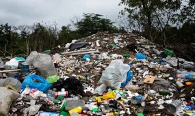 В Жылыойском районе Атырауской области выявили 62 незаконные свалки
