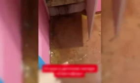 «Кишечная палочка в пищеблоке и неработающая канализация»: условия в лагере отдыха шокировали родителей в Костанайской области