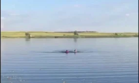 Женщина едва не утонула у дикого пляжа в Житикаре
