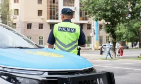Оралда полиция қызметкерлері заңсыз тасымалданған 36,8 келі өзен шаянын тәркіледі
