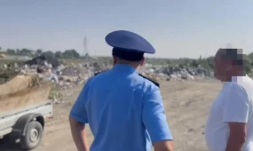 Абай облысында абаттандыру қағидаларын бұзғандар жауапқа тартылды