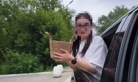 В области Абай эффектная съемка с цветами закончилась протоколами (ВИДЕО)