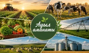 Түркістан облысында 3 жылда «Ауыл аманаты» жобасы арқылы 5 мыңға жуық жұмыс орны құрылды