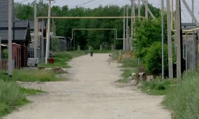 Тело женщины, пропавшей в октябре прошлого года нашли в Алматинской области
