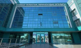 «Кім кінәлі?»: Жамбылда бесінші баласын босанған әйел қайтыс болды