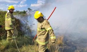 Қазақстанда бір апта ішінде 43 орман өрті тіркелді