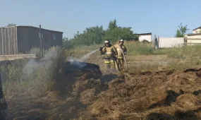 Пожар в Акмолинской области: две тонны сена едва не сожгли жилой дом