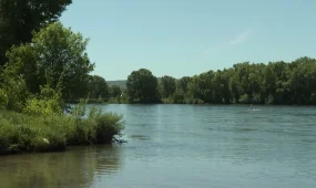 8 және 12 жастағы екі қыз көлікпен бірге суға батып кетті