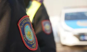 Ботаникалық бақта көпшіліктің көзінше дәрет сындырған шетелдік қамауға алынды