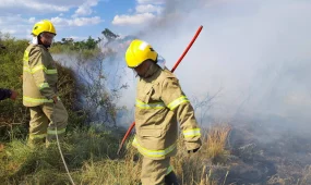 В Казахстане с начала сезона ликвидировали более 1 500 природных пожаров