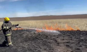 Из-за лесостепного пожара едва не загорелся поселок в ВКО