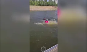 Пьяный астанчанин пытался переплыть реку Есиль
