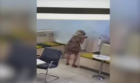 Павлодарда банк бөлімшесінде торт жарған ерлі-зайыптыны күйік шалды
