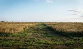 Тысячи гектаров неиспользуемых земель изъяли у фермеров в Павлодарской области