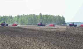 Павлодар облысында 18 миллион теңгенің ауыл шаруашылығы жері мемлекетке қайтарылды
