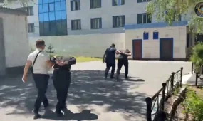 В Павлодарской области полиция задержала группу скотокрадов