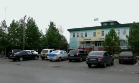 Әжесін пышақтап өлтірді