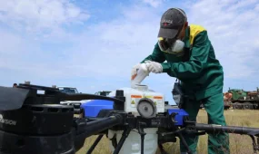 Елімізде шегіртке зиянкестеріне қарсы қорғаныс іс-шаралары аяқталды: ауыл шаруашылығы дақылдарының зақымдалуына жол берілген жоқ