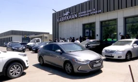 Алматы облысында 30-дан астам адам көлігінен айырылды