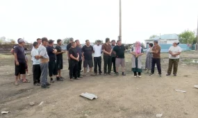 Павлодарда 50-ден астам ауылда мал жайатын жер жоқ