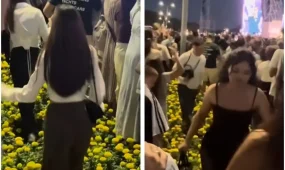 После концерта в Павлодаре посетители прошли по клумбам на набережной (ВИДЕО)
