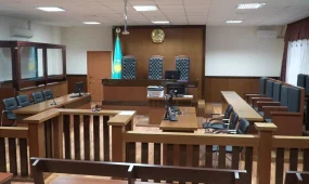 Түркістан облысында анасын өлтірді деген күдікпен ұлы ұсталды