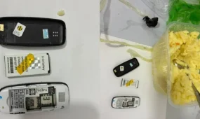 Түрмеге телефон өткізбек болған: Nokia картоп езбесінің ішінен шықты