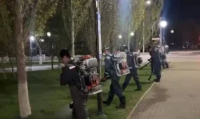 Астанада маса мен шыбын-шіркейге қарсы өңдеудің төртінші кезеңі өтіп жатыр