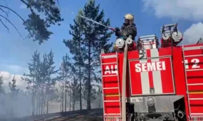 "Семей орманындағы" өрт толықтай сөндірілді