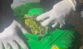 Жамбыл облысында көлігіне 8,5 келі гашиш жасырған жүргізуші ұсталды