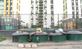 Жители одного из столичного ЖК почти четыре года добиваются переноса мусорной площадки